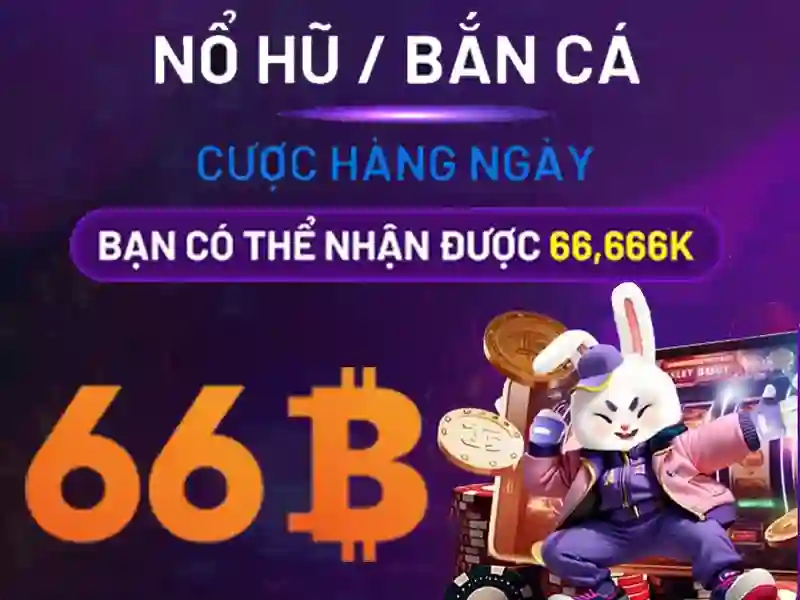 dublin bus 66b – Chủ đề tổng quan và giá trị cốt lõi