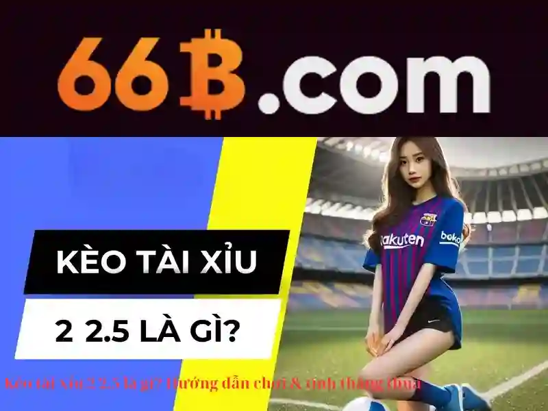 Giới thiệu về 66b