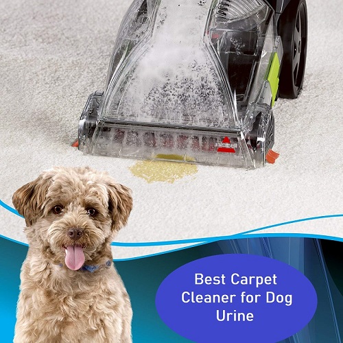 Best Carpet Cleaner for Dog Urine Review