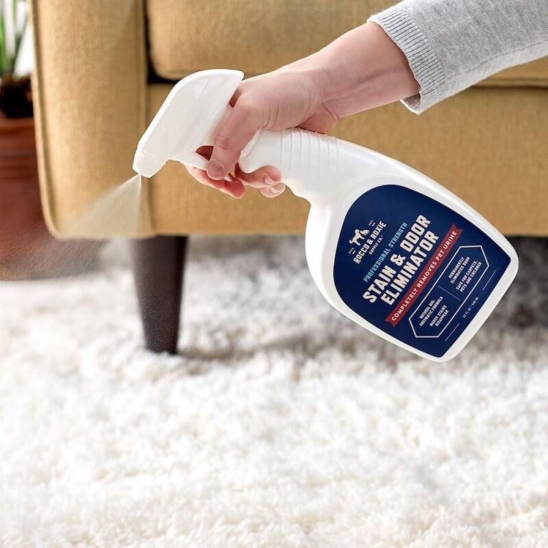 Best Pet Stain Remover for Carpet