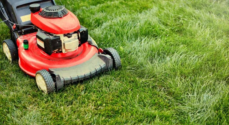 Best Self Propelled Lawn Mower of 2020